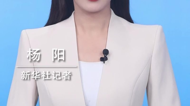 客户关系管理系统：揭秘十大品牌的内在逻辑
